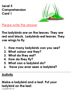 Comprehension cards level 5 provide information for students to read and open ended questions to be answered. There is an activity to be undertaken to assist with consolidation of learning